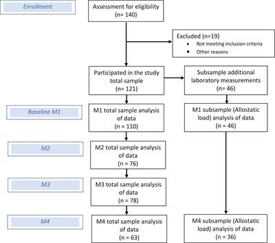 Stress and Pain. Predictive (Neuro)Pattern Identification for Chronic Back Pain: A Longitudinal Observational Study